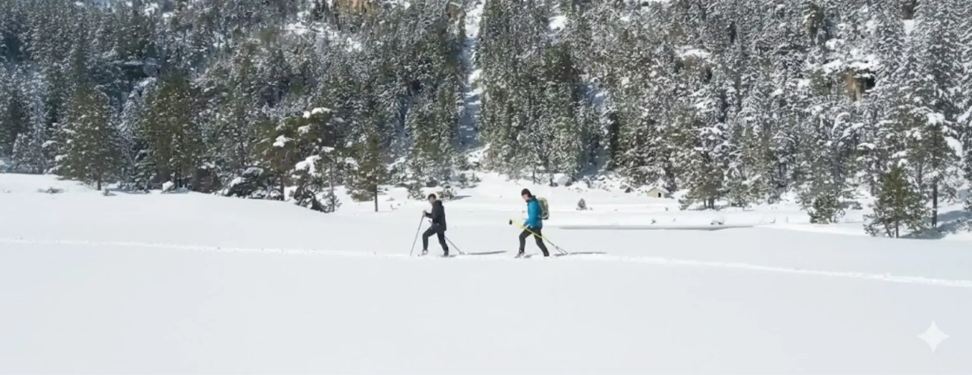 belle-randonnee-hivernale-sans-raquette-pyrenees