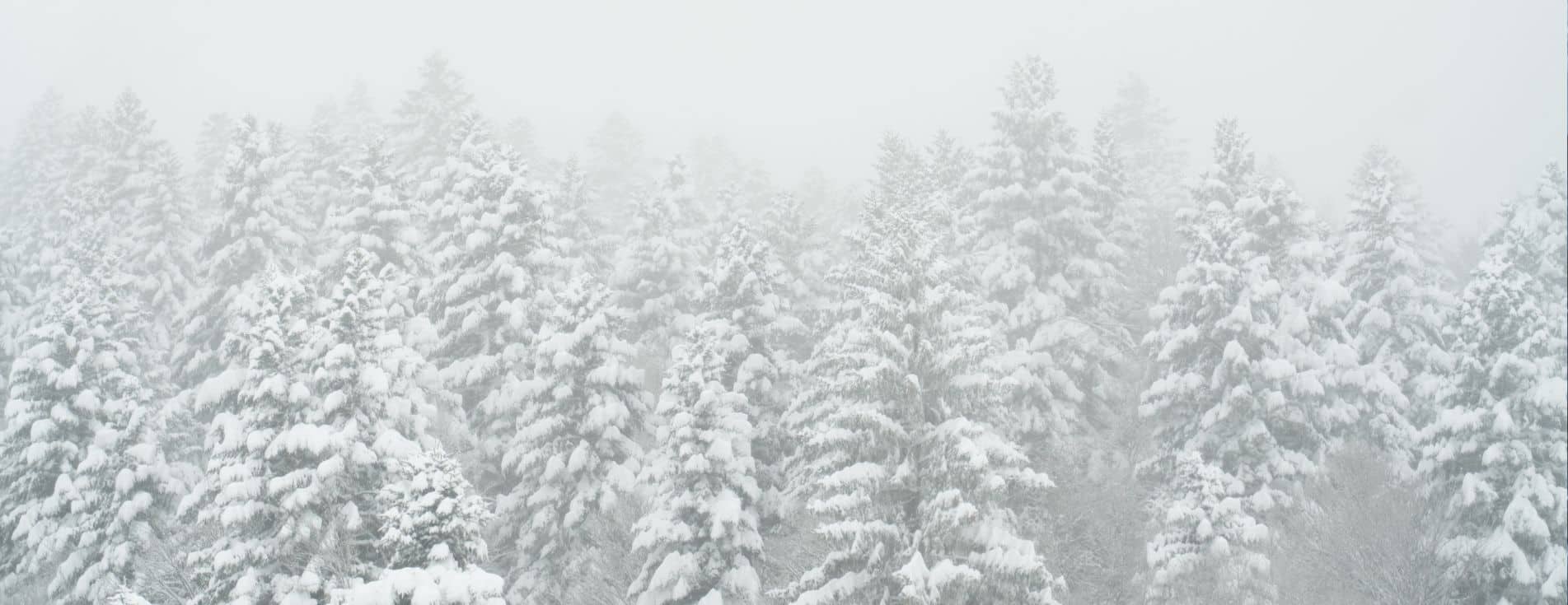 brouillard-neige-ski