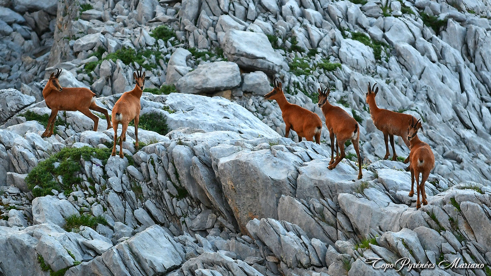 bivouac pic de mouscate
