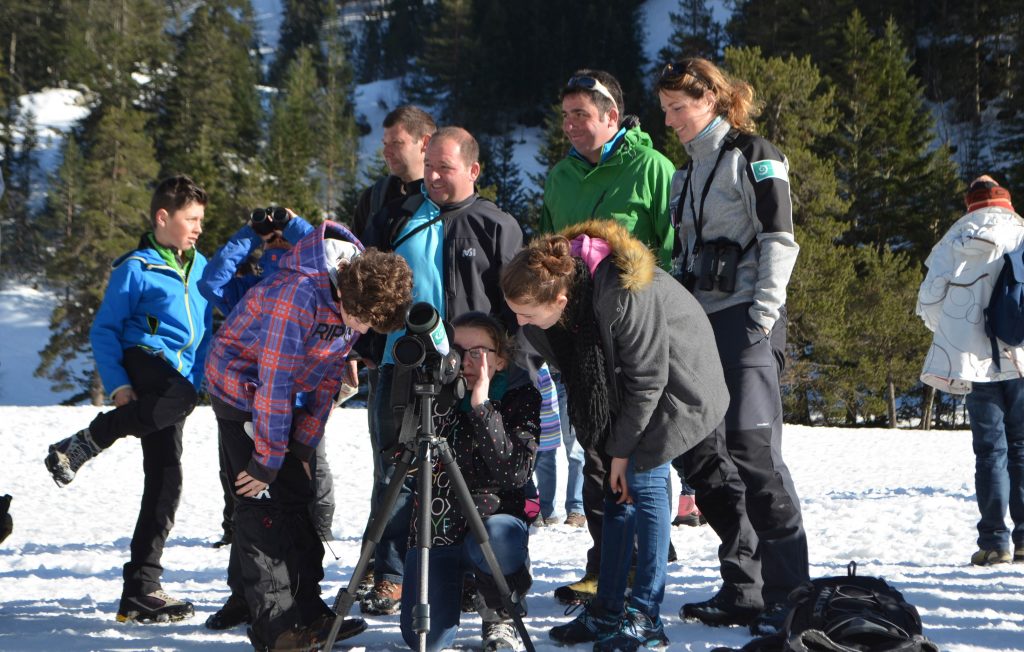 sortie en famille pont d espagne pyrenees