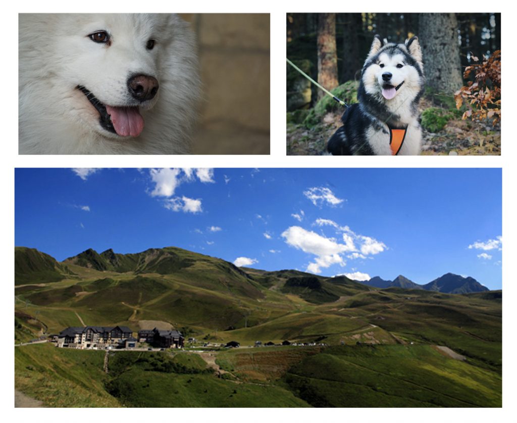 activite a faire en famille l ete dans les pyrenees